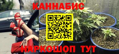 соль ск Будённовск
