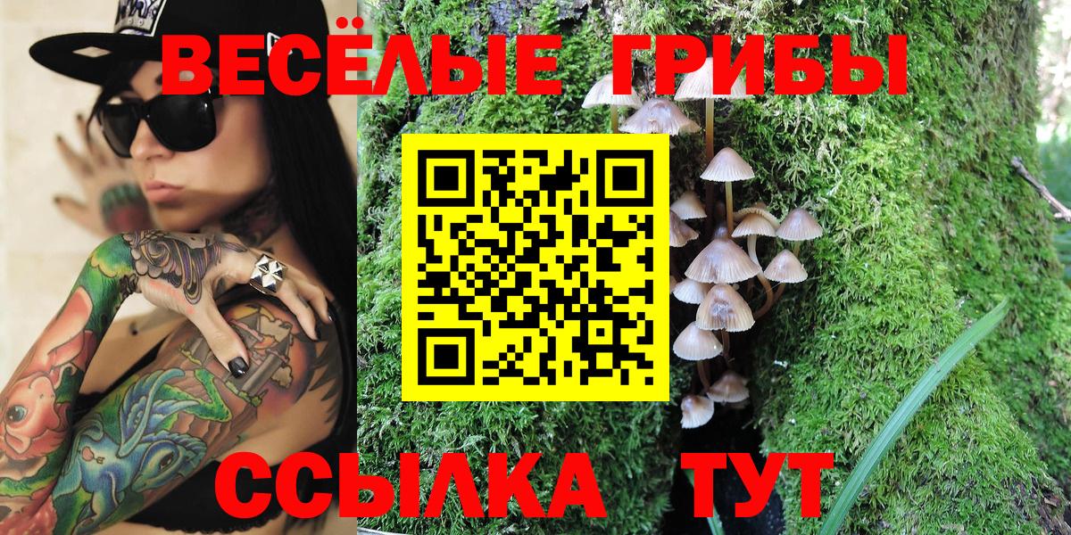 Галлюциногенные грибы мицелий  что такое   Вход с VPN  Нефтеюганск  Псилоцибиновые грибы GOLDEN TEACHER 
