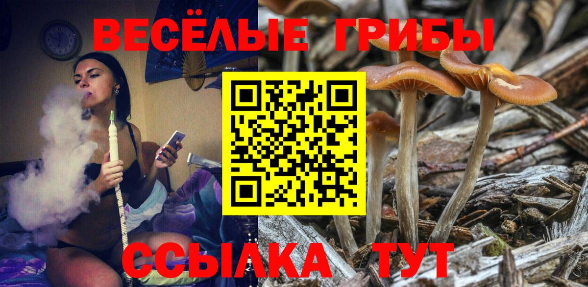 Галлюциногенные грибы GOLDEN TEACHER Нефтеюганск